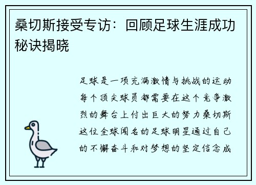 桑切斯接受专访：回顾足球生涯成功秘诀揭晓